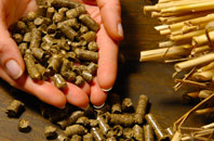 free High Green biomass boiler quotes